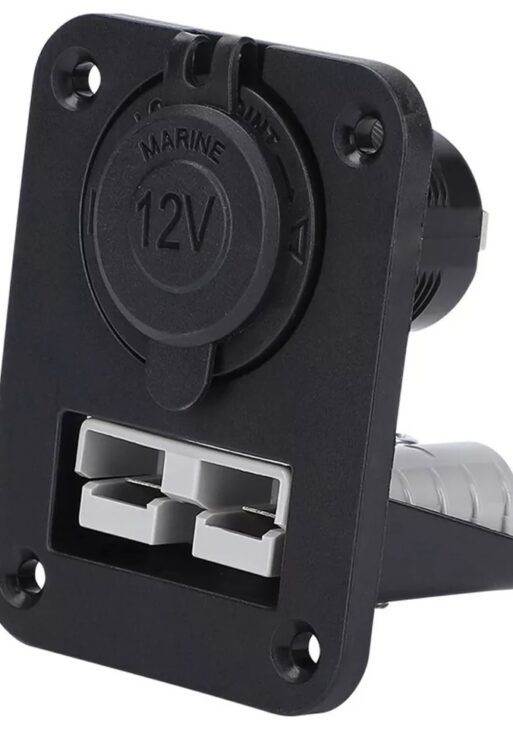 Anderson Flush Mount Panel with Brad Harrison and Power Socket